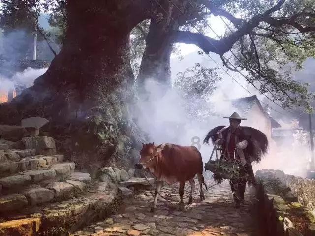 燃烧吧大脑装瓶子游戏